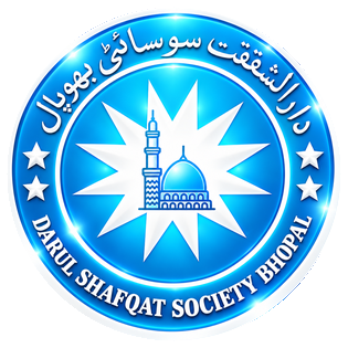 DSS logo